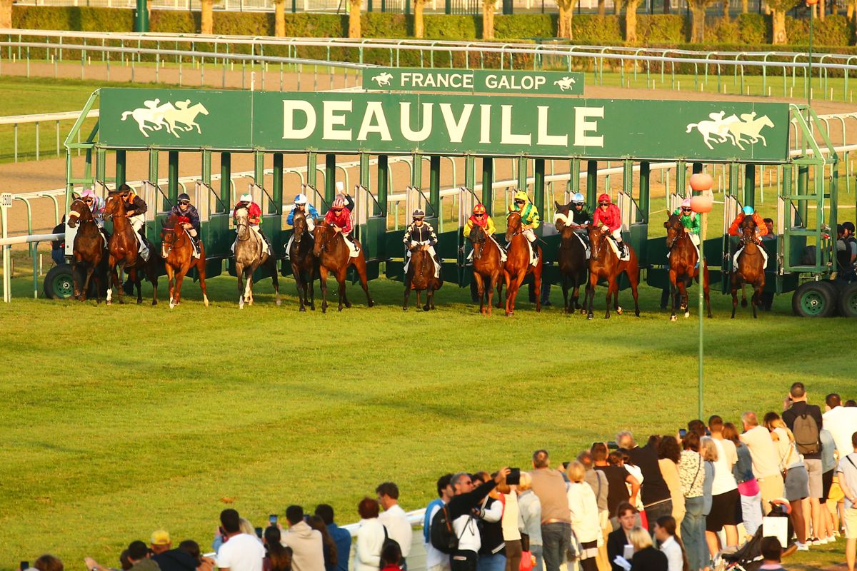 Meeting estival de Deauville : ouverture des stalles dimanche