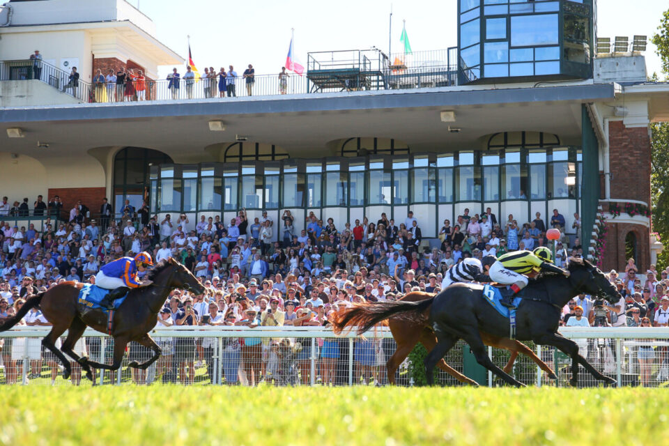 Ramatuelle, la jument de Tony Parker est arrivée deuxième de la course dont elle était la grande favorite.