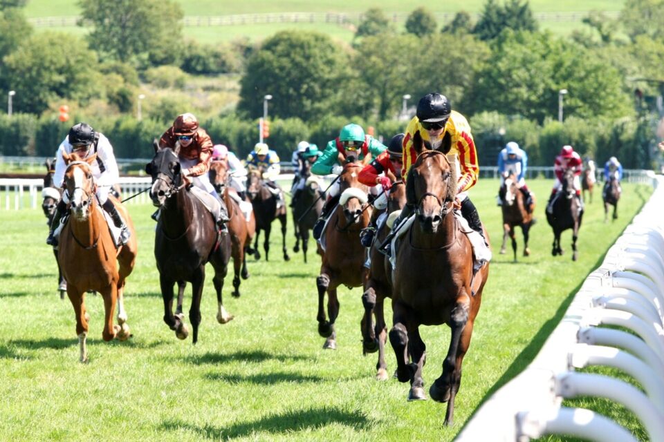 28/08/2010
CLAIREFONTAINE;DEAUVILLE
PRIX GUY DUVAL LEMONNIER - PRIX DE LA VILLA STRASSBURGER ARRIVEE;GALOP
CRASTUS Anthony ;LELLOUCHE Elie ;CHIBOUB Slim JO ALL THE WAY
REGAMONTI
OCSOU
VISAPOUR
FIDEL AU ROI