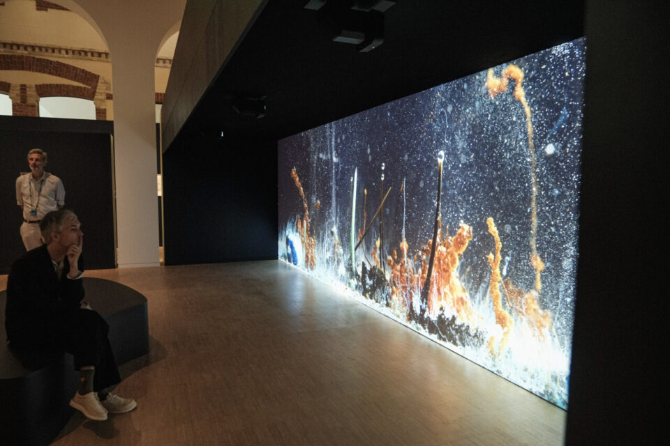 Bleu profond Franciscaines