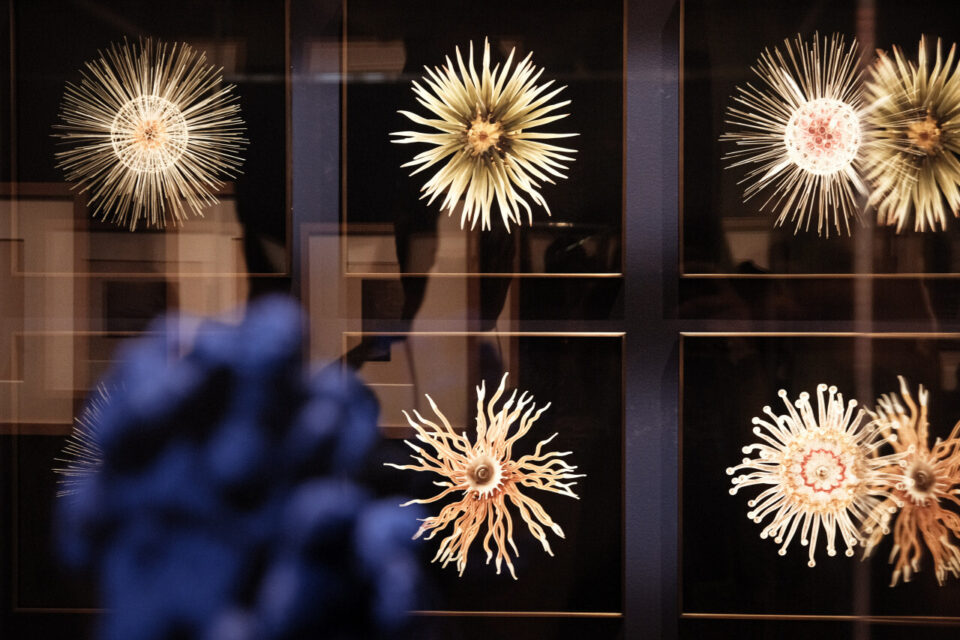 Cet été, aux Franciscaines, l’exposition Bleu profond, l’océan révélé nous raconte la fascination pour les profondeurs des océans.