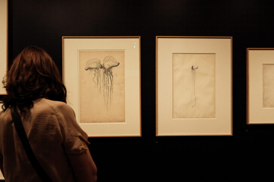 Cet été, aux Franciscaines, l’exposition Bleu profond, l’océan révélé nous raconte la fascination pour les profondeurs des océans.