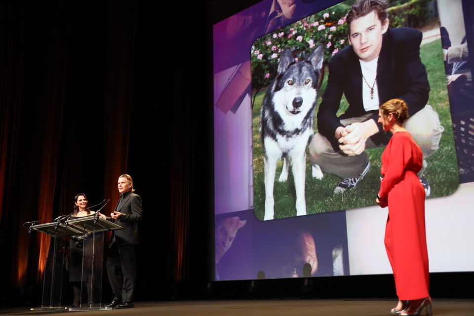 Ethan Hawke au festival de Deauville.